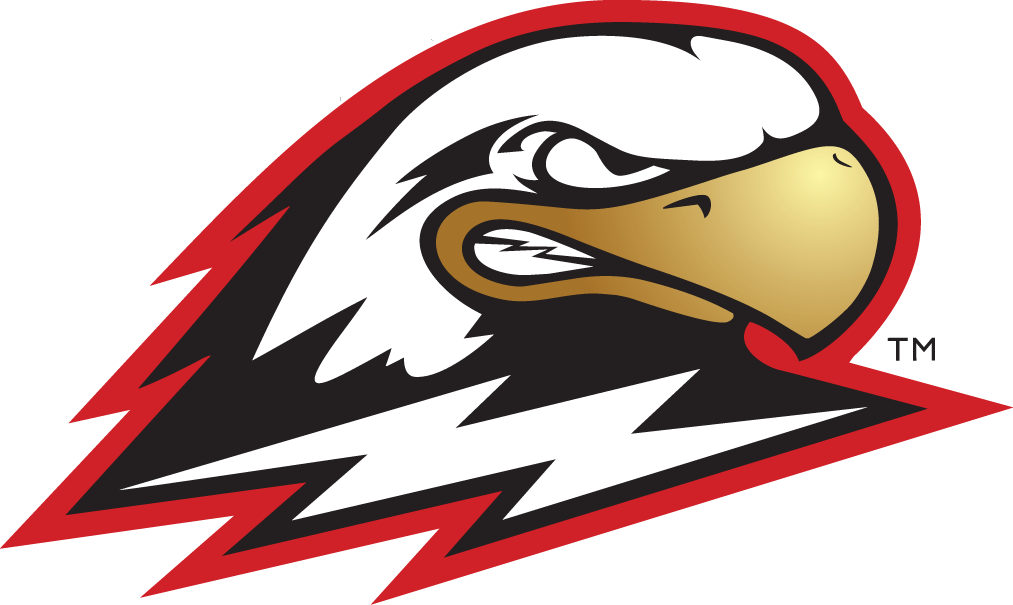 Southern Utah Thunderbirds 2002-Pres Secondary Logo t shirts DIY iron ons